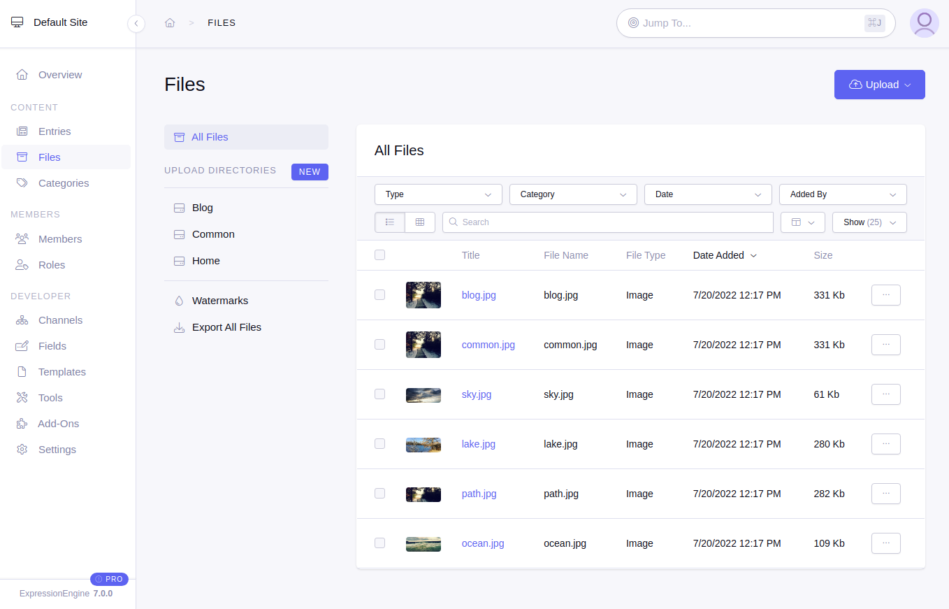 Control Panel File Manager Page