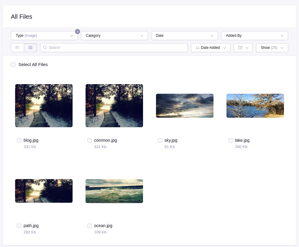 File Manager Grid View