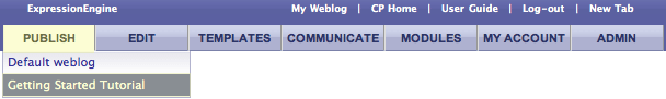 Select the Getting Started Tutorial weblog from the Publish tab dropdown.